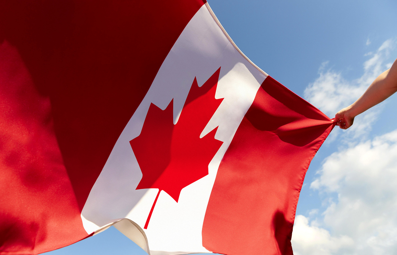 Bộ di trú đã hợp tác với các tổ chức trên khắp Canada để đảm bảo những người mới đến định cư nhận được sự trợ giúp mà họ cần. 