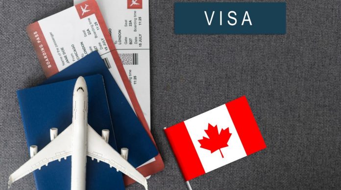 Canada dự kiến giảm hơn 100,000 SOWP trong 3 năm tới