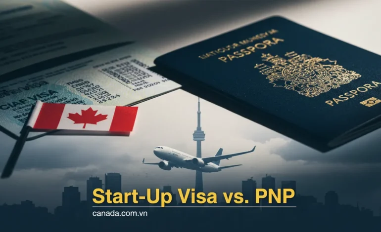 So sánh lộ trình định cư: SUV (Liên bang) hay Entrepreneur Stream (Tỉnh bang)?